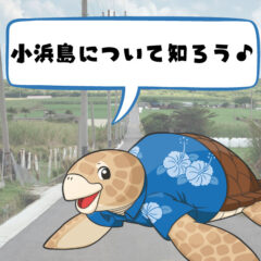 【場所、行き方、概要】小浜島