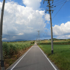 【映えスポット】リアル旅気分♪一人称視点でシュガーロードを下って登る【小浜島】