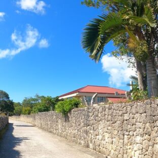 【竹富島の原風景】赤煉瓦と石垣はレンタサイクルで風を切りつつ眺めるべし【動画】