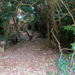 【フボー御嶽】神聖な島の立ち入り禁止エリア【久高島】