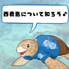 【場所、行き方、概要】西表島