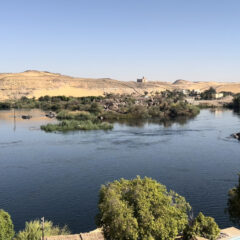 【ナイル川】世界一長い川にいってきました（記：夫婦で世界一周中そがわっち）【エジプト】