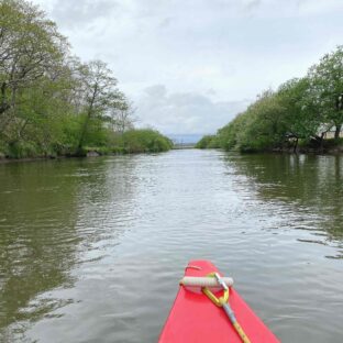【釧路湿原】非日常体験が楽しめる!日本最大の湿原をカヌーで散策