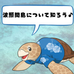 【場所、行き方、概要】波照間島