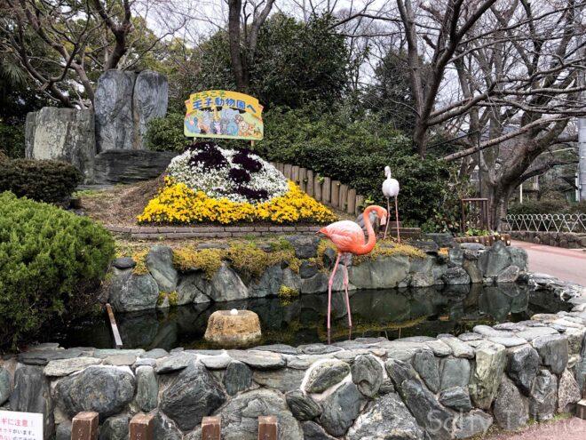 神戸市立王子動物園】パンダやコアラなど珍しい動物と出会える | ある