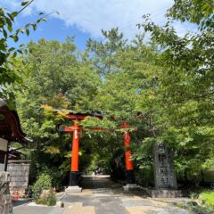【宇治上神社】日本最古の神社建築【京都】