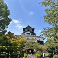 【国宝犬山城】信長・秀吉・家康が奪い合った名城【愛知県】
