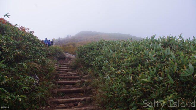 登山コース合流地点