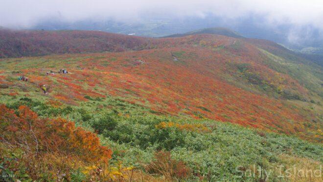 中央コース下山時の風景