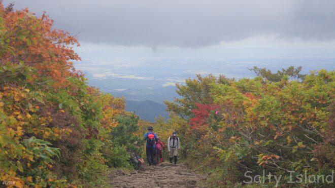 山から平地の街を見下ろす