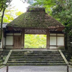 【法然院・安楽寺】絵画のような景色に感動！【京都】