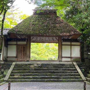 【法然院・安楽寺】絵画のような景色に感動！【京都】