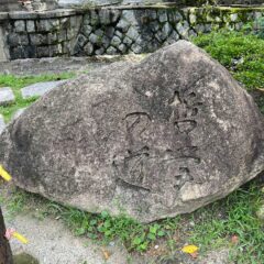 【哲学の道】思索にふける散歩道【京都】
