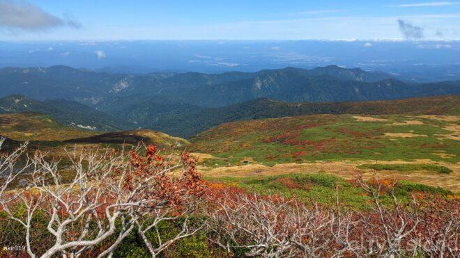 紅葉した山の起伏と湿原
