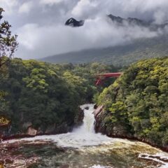 【屋久島】縄文杉だけじゃない！地元民に聞いた絶景スポット【鹿児島】