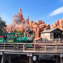 【東京ディズニーリゾート】大人にとっての夢の国って？【千葉県】