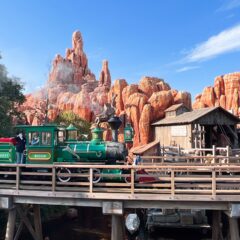 【東京ディズニーリゾート】大人にとっての夢の国って？【千葉県】